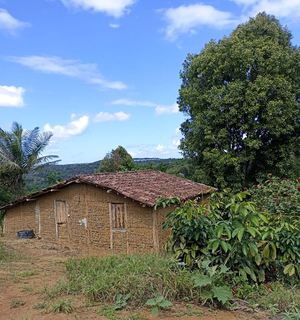 Casa de taipa, uma tecnologia ancestral africana na  comunidade Rio de Areia 1, Orobó (Imagem: Carolina Menezes, 2024)