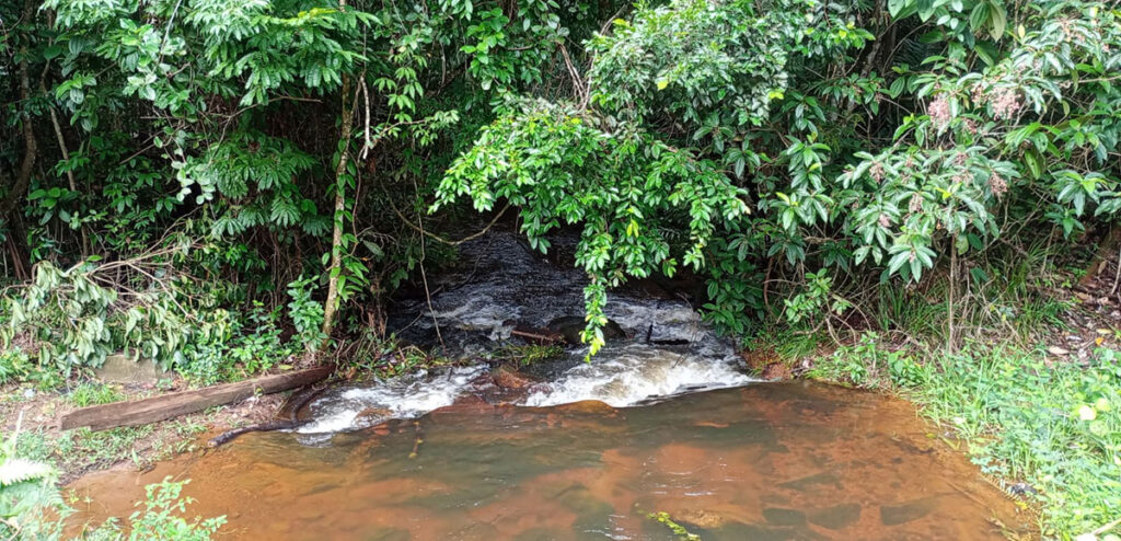 Rio do Sul, comunidade Capela de São José-Orobó (Imagem: Cleonilson Pereira, 2024)